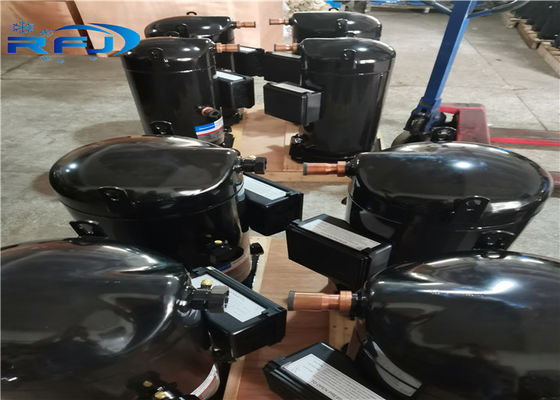 購入 半円盤投げの圧縮機 Hermeticoのの圧縮機密閉D2DC-500 online manufacture